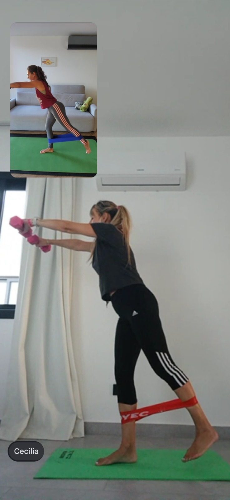 Clases full body cardio 100% online en vivo